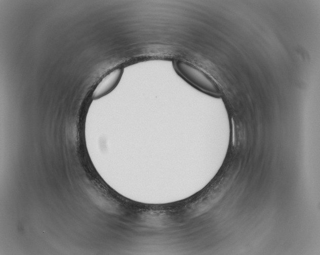 X0000110980252200907310955