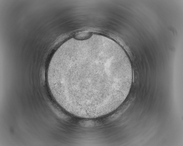 X0000110980253200907310955