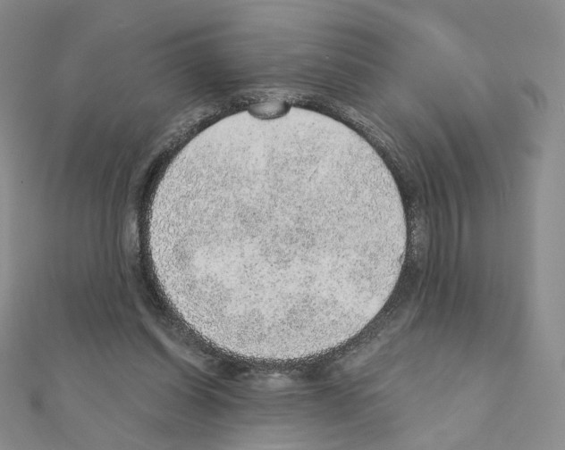 X0000110980254200907310955
