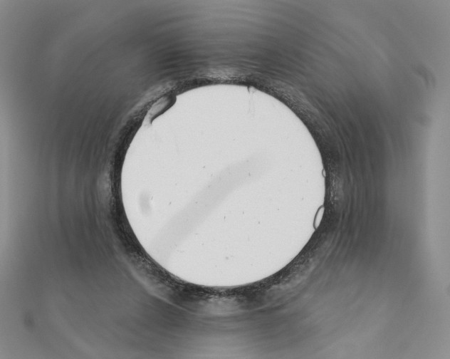 X0000110980256200907310955