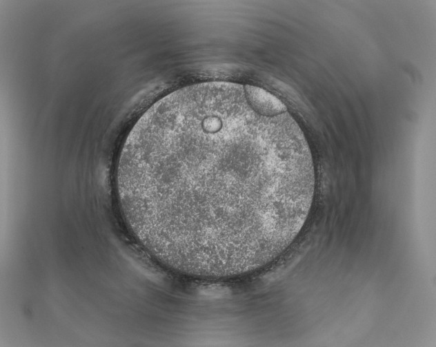 X0000110980258200907310955