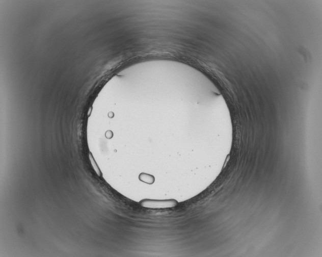 X0000110980260200907310955