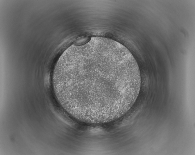 X0000110980262200907310955