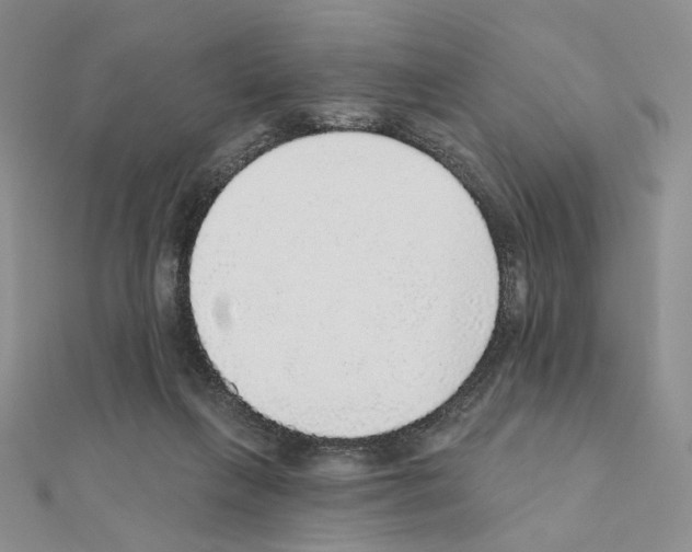 X0000110980263200907310955