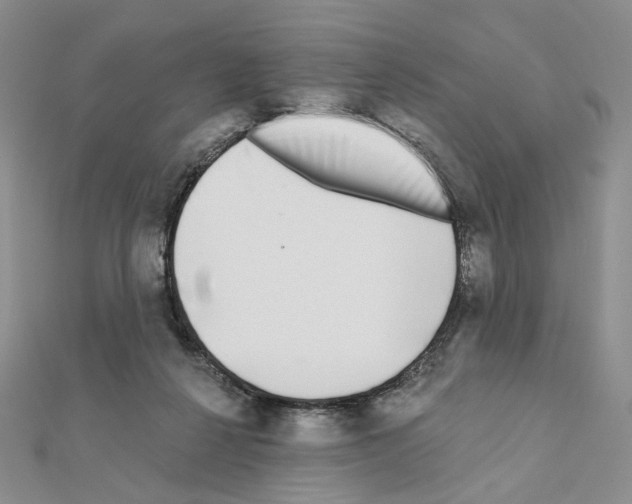 X0000110980264200907310955