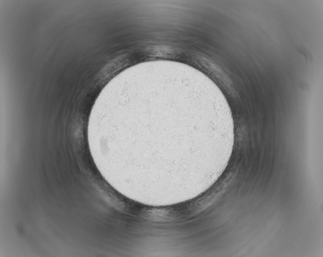 X0000110980265200907310955