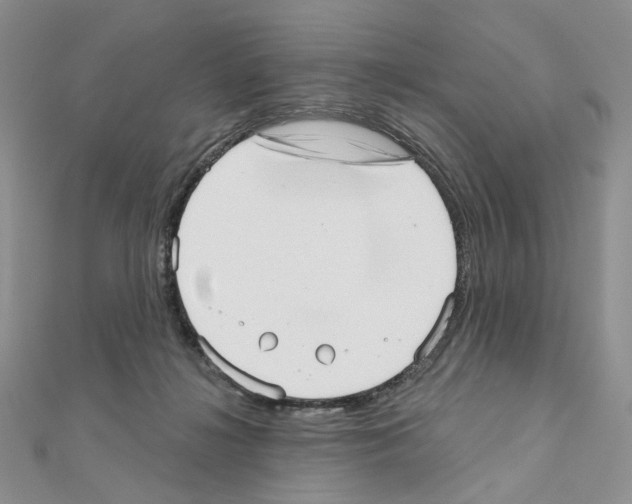 X0000110980268200907310955