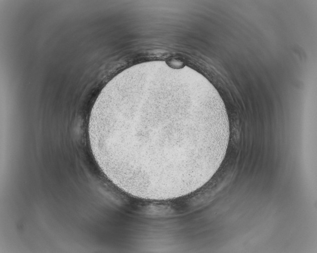 X0000110980270200907310955