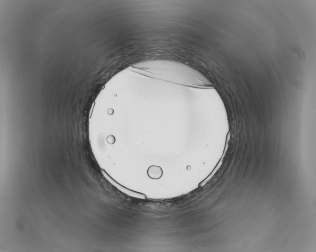 X0000110980272200907310955
