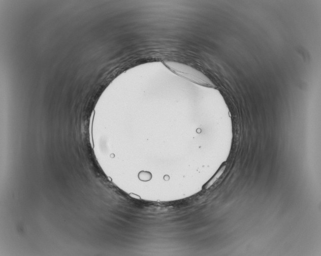X0000110980276200907310955