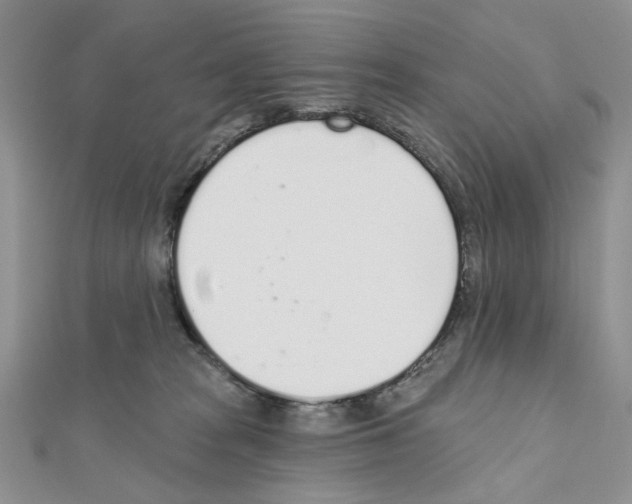 X0000110980277200907310955
