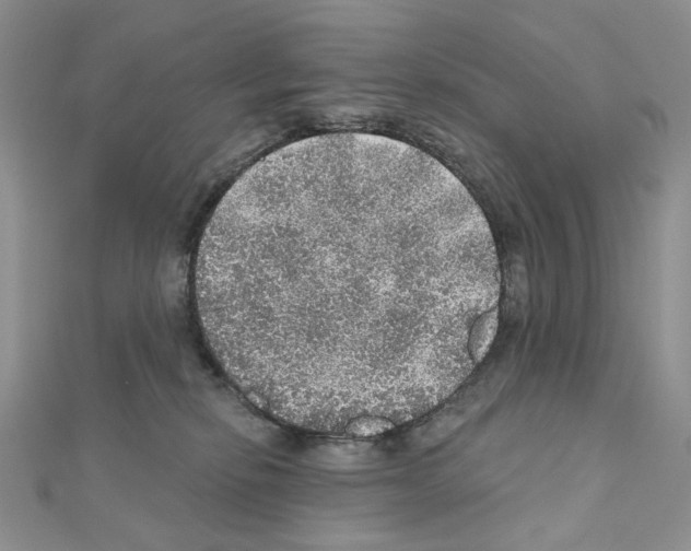 X0000110980278200907310955