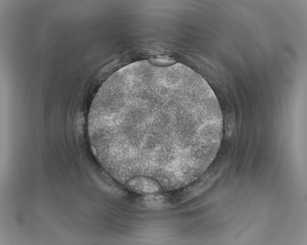 X0000110980279200907310955