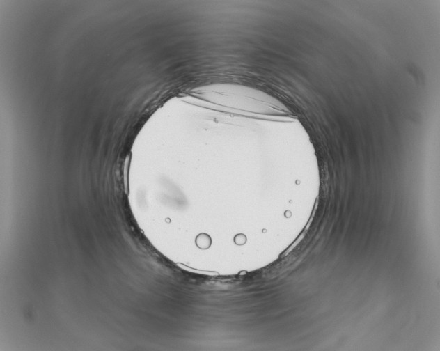 X0000110980280200907310955
