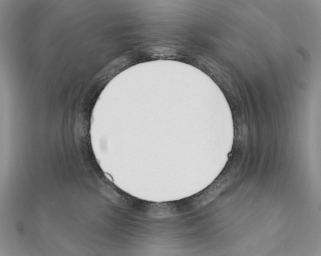 X0000110980281200907310955