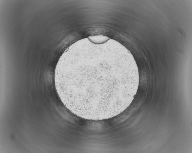 X0000110980282200907310955