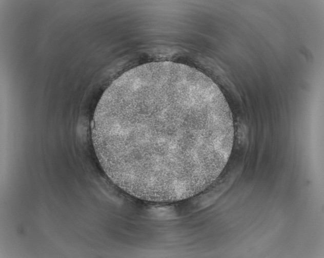 X0000110980283200907310955