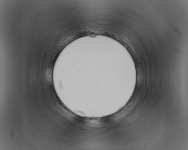 X0000110980285200907310955