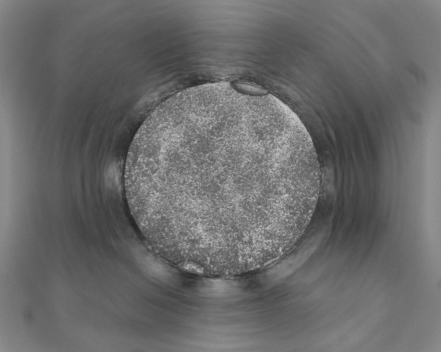 X0000110980286200907310955