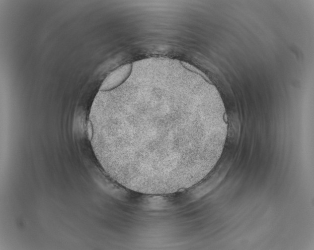 X0000110980287200907310955