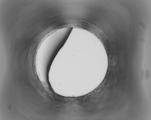 X0000110980289200907310955