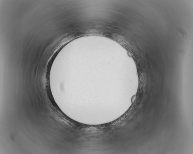 X0000110980290200907310955