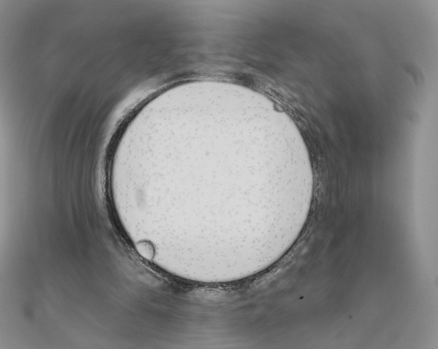 X0000110980294200907310955