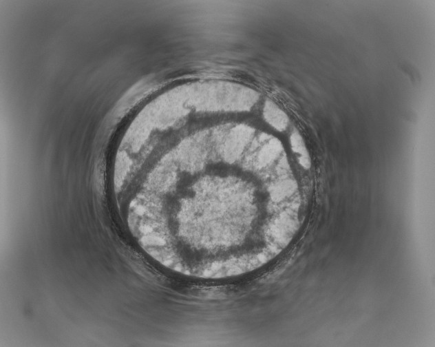 X0000110980295200907310955