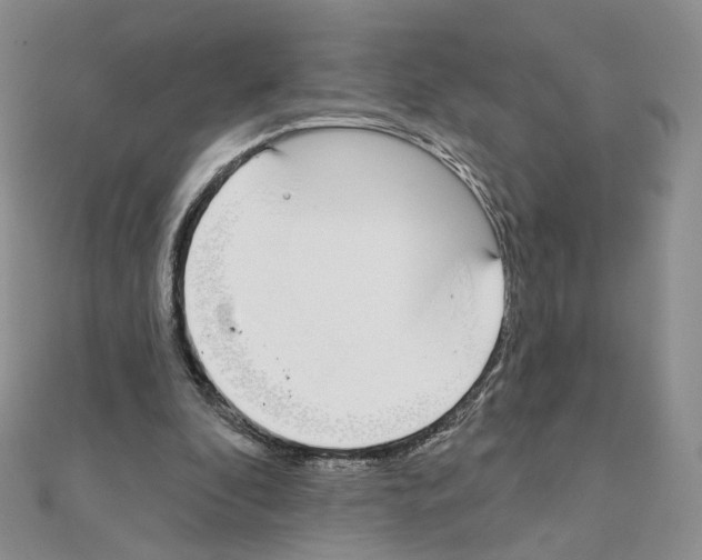 X0000110980296200907310955