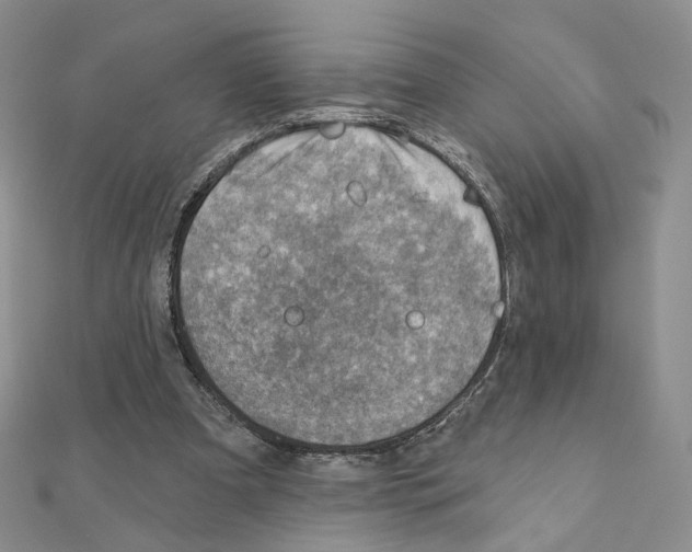 X0000110980297200907310955
