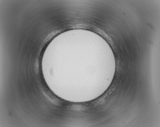 X0000110980298200907310955