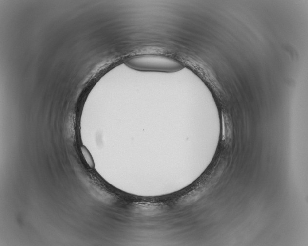 X0000110980300200907310955