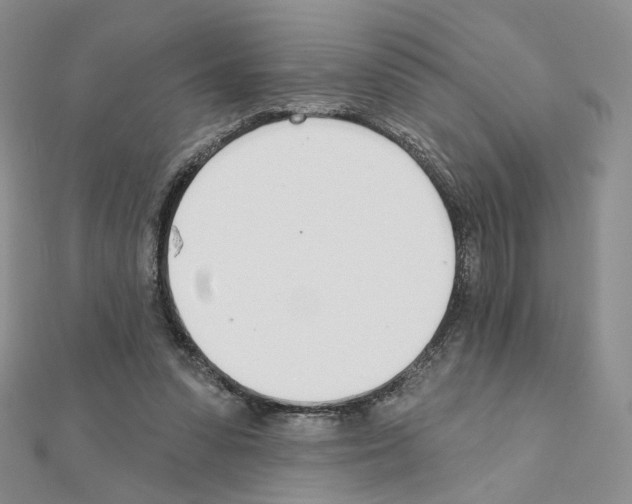 X0000110980303200907310955