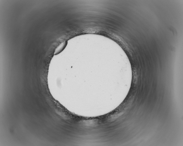 X0000110980307200907310955