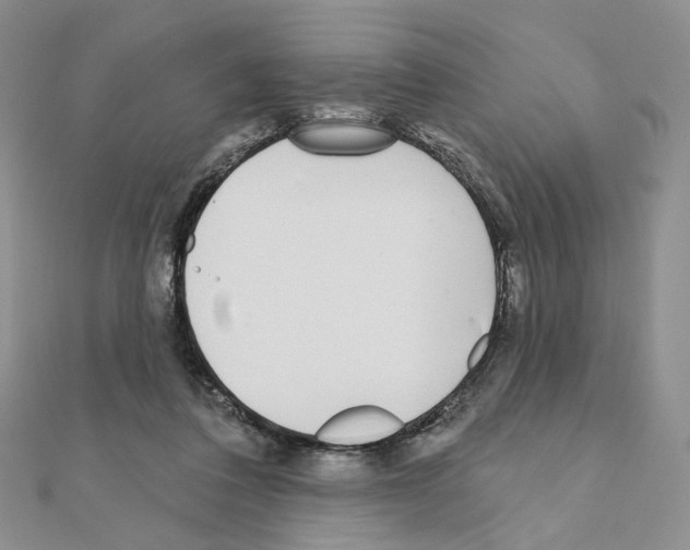 X0000110980308200907310955