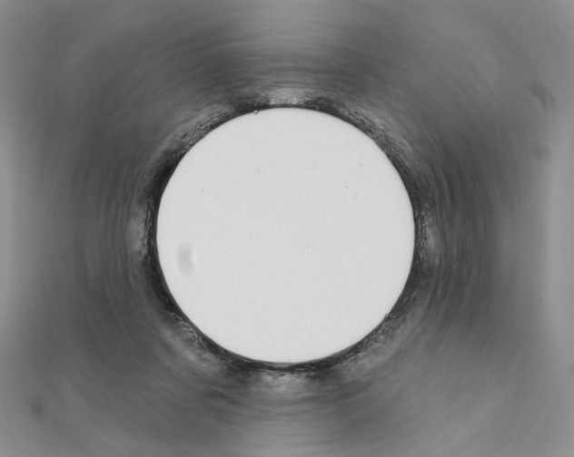 X0000110980311200907310954