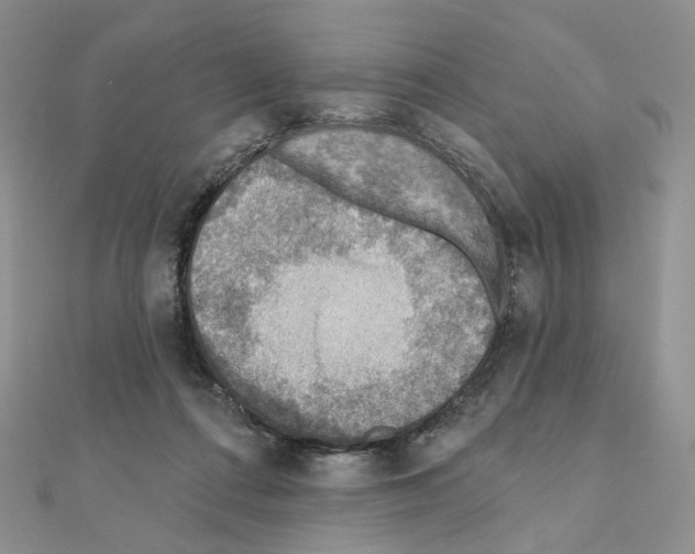 X0000110980312200907310954