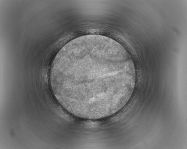 X0000110980313200907310954