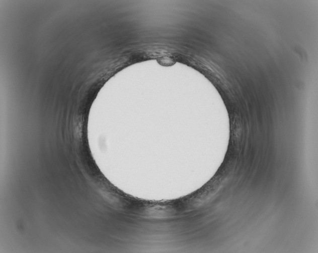X0000110980315200907310954