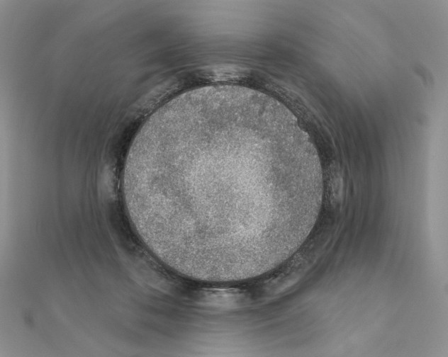 X0000110980316200907310954