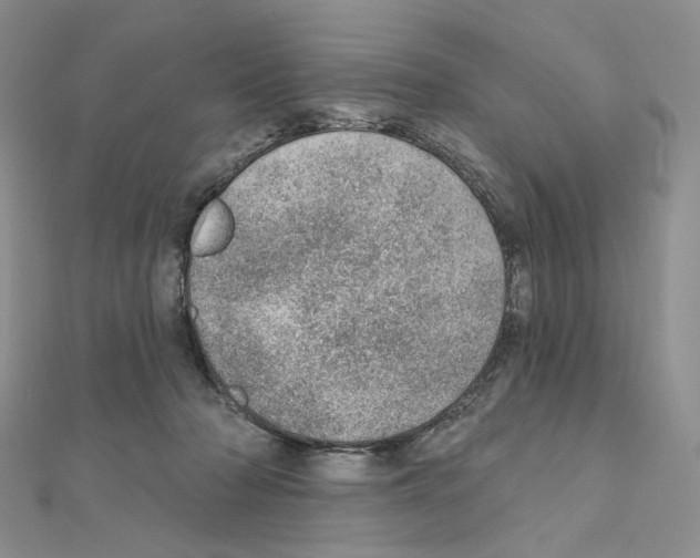 X0000110980318200907310954