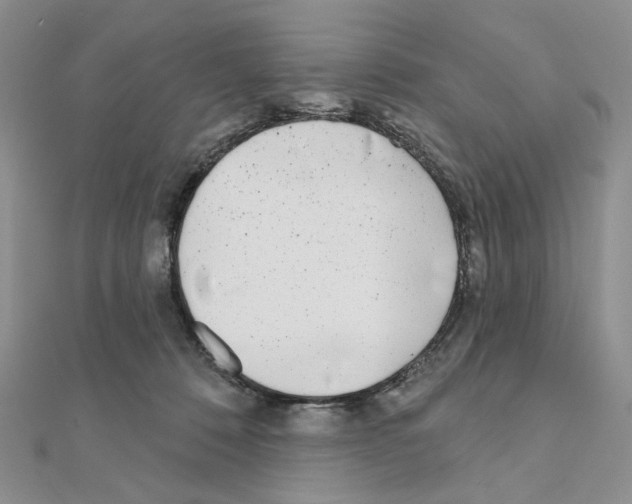X0000110980320200907310954
