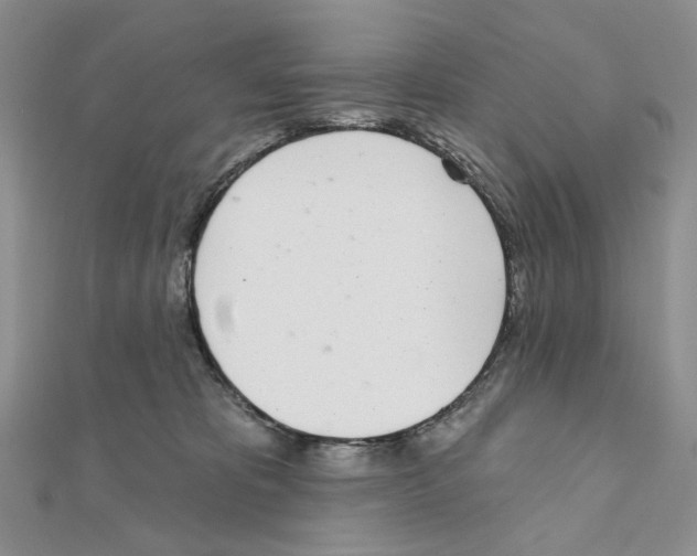 X0000110980325200907310954