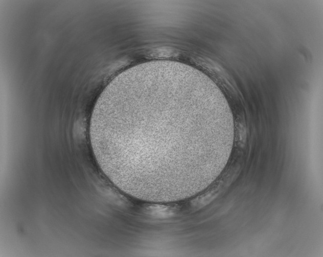 X0000110980326200907310954