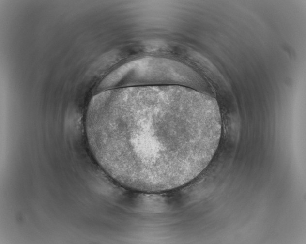 X0000110980327200907310954
