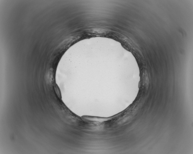 X0000110980328200907310954