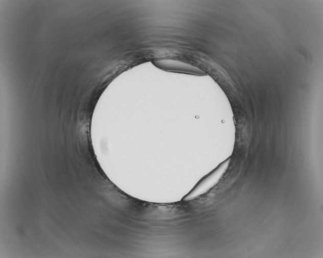 X0000110980329200907310954
