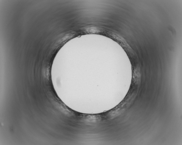 X0000110980330200907310954