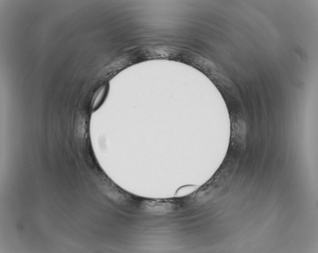 X0000110980331200907310954