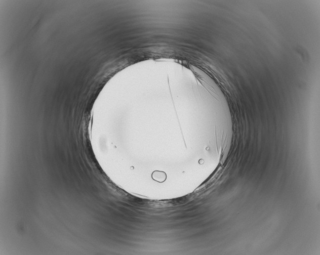 X0000110980333200907310954